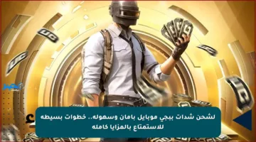 لشحن شدات ببجي موبايل بأمان وسهولة.. خطوات بسيطة للاستمتاع بالمزايا كاملة